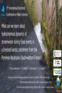 Presentation_Ulloa et al., 2020.pdf