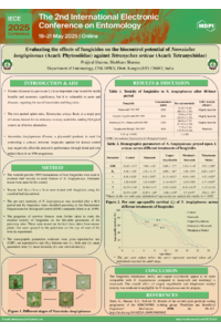 Poster.pdf