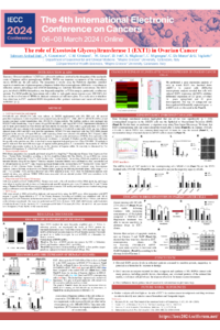 Poster 085438 Tahreem Arshad Butt-IECC2024 (ok).pdf