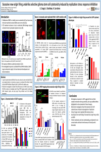 sciforum-041457.pdf