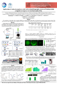 Poster_Savelyev_ECP25.pdf
