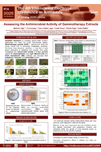 Héjja Melinda poster 4.pdf