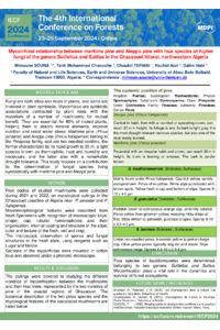 sciforum-100002_Mimoune SOUNA.pdf
