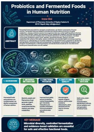 poster.pdf