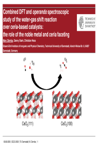 presentation_ECCS_Ziemba.pdf
