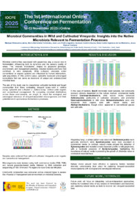 Villanueva_Llanes_Maripaz_MDPI_2025_POSTER_sciforum_136615.pdf