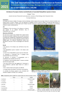IECF 2021_Tziros.pdf