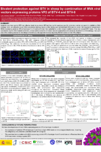 Poster Sciforum-128727 Cabello.pdf