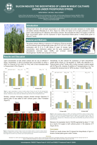 poster-sciforum-043896.pdf