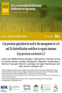 Presentation Agronomy - Coelho et al - Tomato.pdf