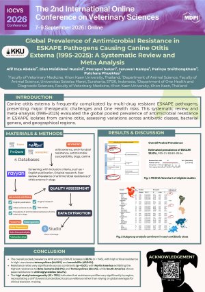 Poster.pdf