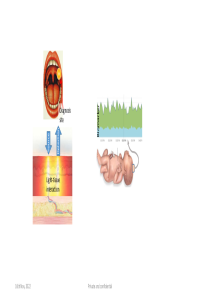 HMAM-2BlankPresentation.pdf