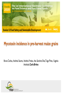 Presentation_Mycotoxin maize_Foods2020_Carbas et al.pdf