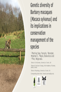 Genetic diversity of Barbary macaques (Macaca sylvanus) and its implications in conservation management of the species (IECD).pdf