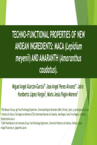 R1 presentación-techno functional properties.pdf
