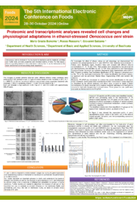 Poster BonomoMG.pdf