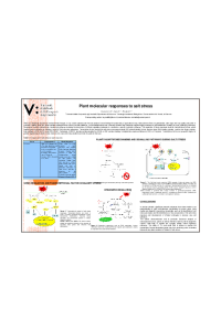 poster_Ciarmiello et al.pdf