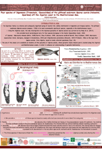 Zedam fz1st IOCTX Four species of Digeneans (Trematoda, Opecoelidae) of the gilthead seabream Sparus aurata (teleostei, Sparidae) off the Algerian coast in the Mediterranean Sea..pdf