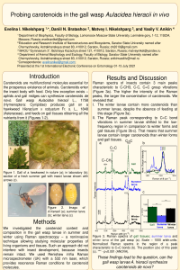 Nikelshparg et al 2021 Poster.pdf