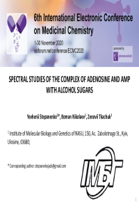 Presentation ECMC6 (2020) Stepanenko.pdf