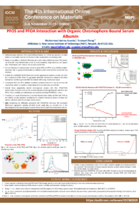 IOCM 2025 - poster template 2.pdf