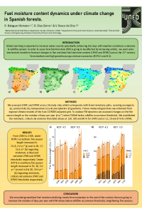 Poster_Balaguer-Romano_2022-1.pdf