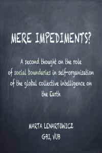 sciforum-002955-presentation.pdf