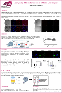 sciforum-041904.pdf