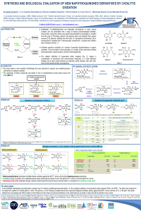 Poster. E. OURHZIF.  ESSC 2020.pdf
