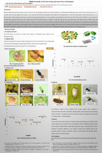 sciforum-054534.pdf