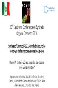 sciforum-009502 (slides).pdf