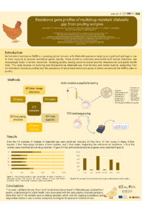 Silva et al Genes.pdf
