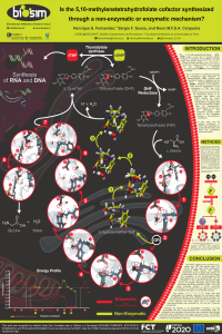 poster_ejibce2018_Henrique_Fernandes.pdf