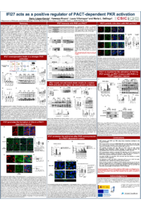 POSTER DARIO LOPEZ GARCIA.pdf
