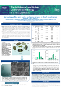 conference abstract.pdf