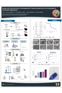 sciforum25.pdf