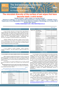 097980-Poster-Tkachuk_Zelena_Novikov_Wet wipes-Diversity.pdf