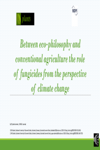 Plant SAFTA.pdf