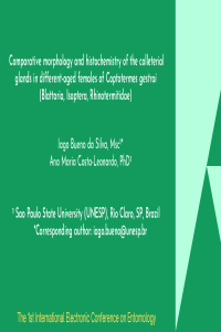 Slides_Iago B Silva.pdf