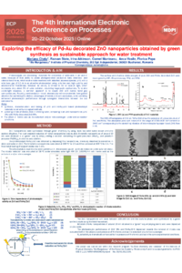 Poster ECP 2025_Mariana Chelu.pdf