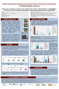 Ricardo et al-ECA2025-Poster-submission.pdf