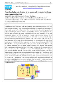 Rodilla, Mendiguren, Pineda 2017 - Alpha1.pdf