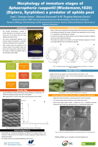 sciforum-046638-poster.pdf