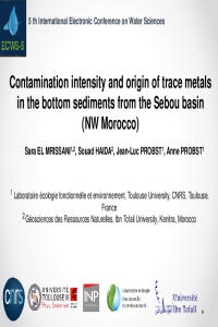 sciforum-040420-presentation.pdf