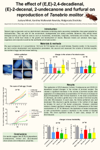 sciforum-046609.pdf