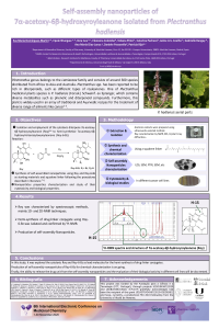Pharmaceuticals Poster Eva María Domínguez Martín.pdf