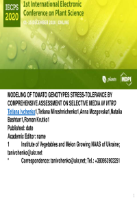 Presentation 036393.pdf