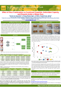 sciforum-141106.pdf