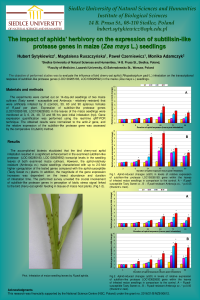 Poster_2021_Subtilisin like protease.pdf