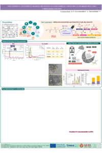 IOCPC2026_poster_nk.pdf